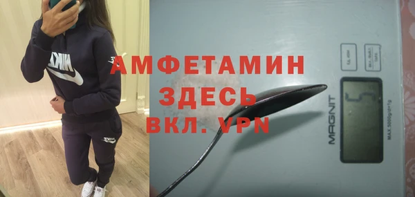 стаф Абаза