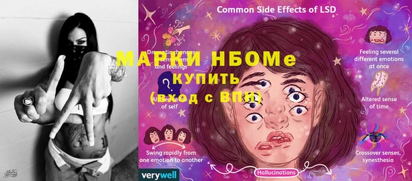 стаф Абаза