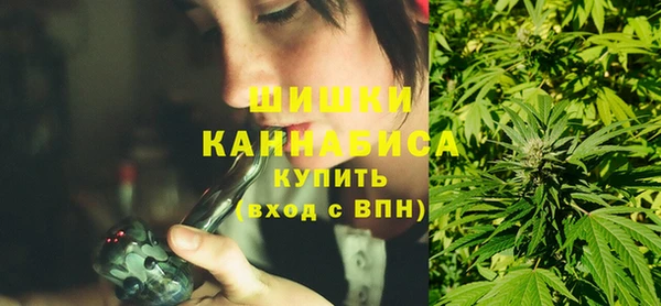 стаф Абаза