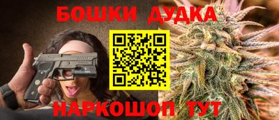 сатива Обь